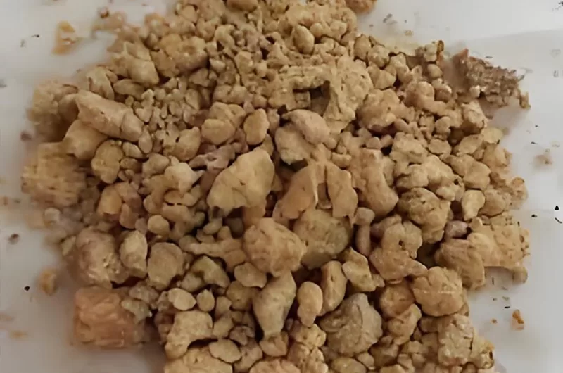 wet cassava residue is clumping and fibrous