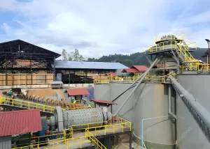 Gold CIP Processing