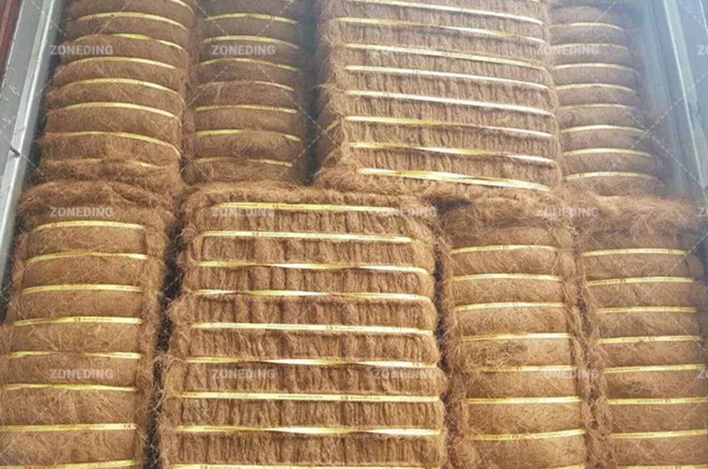 Coconut fiber
