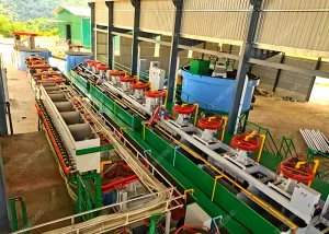 Gold flotation Plant