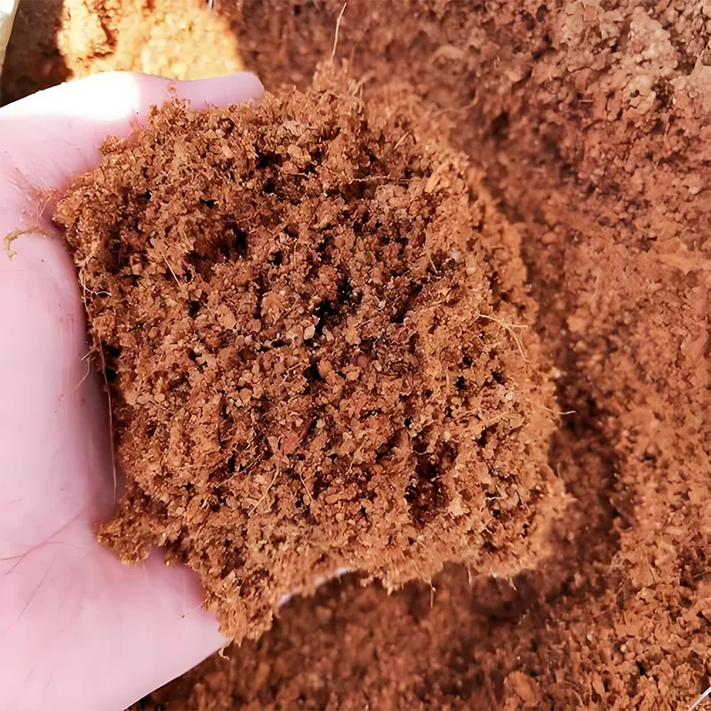 cocopeat