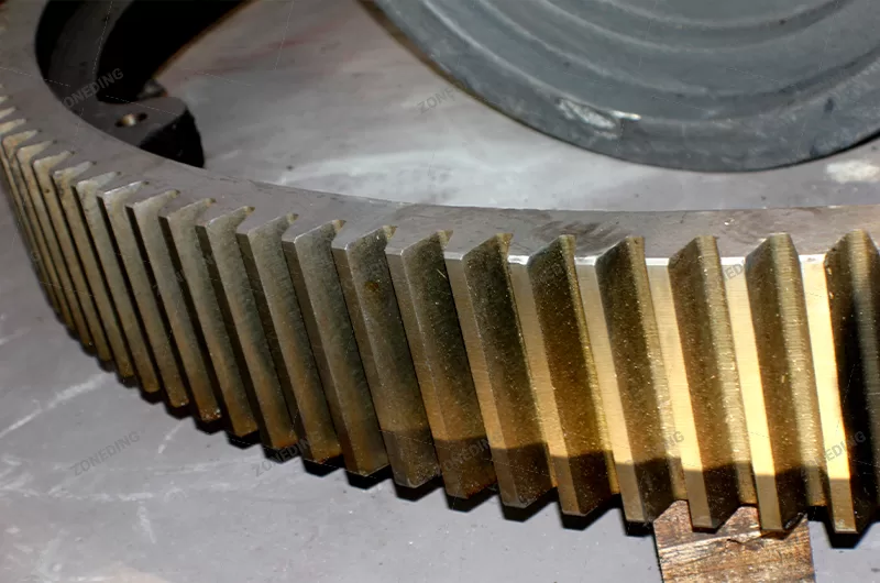 Dryer gear roller