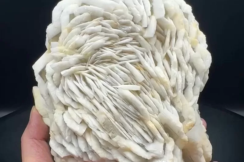 Barite White  Rose