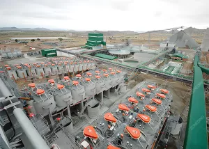 Lead-Zinc Beneficiation Process