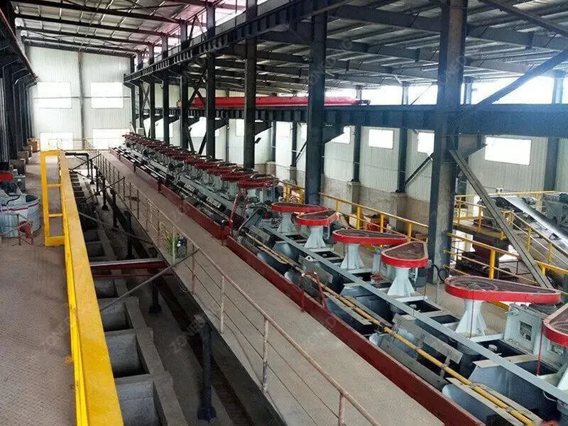 Lithium Ore Flotation Technology